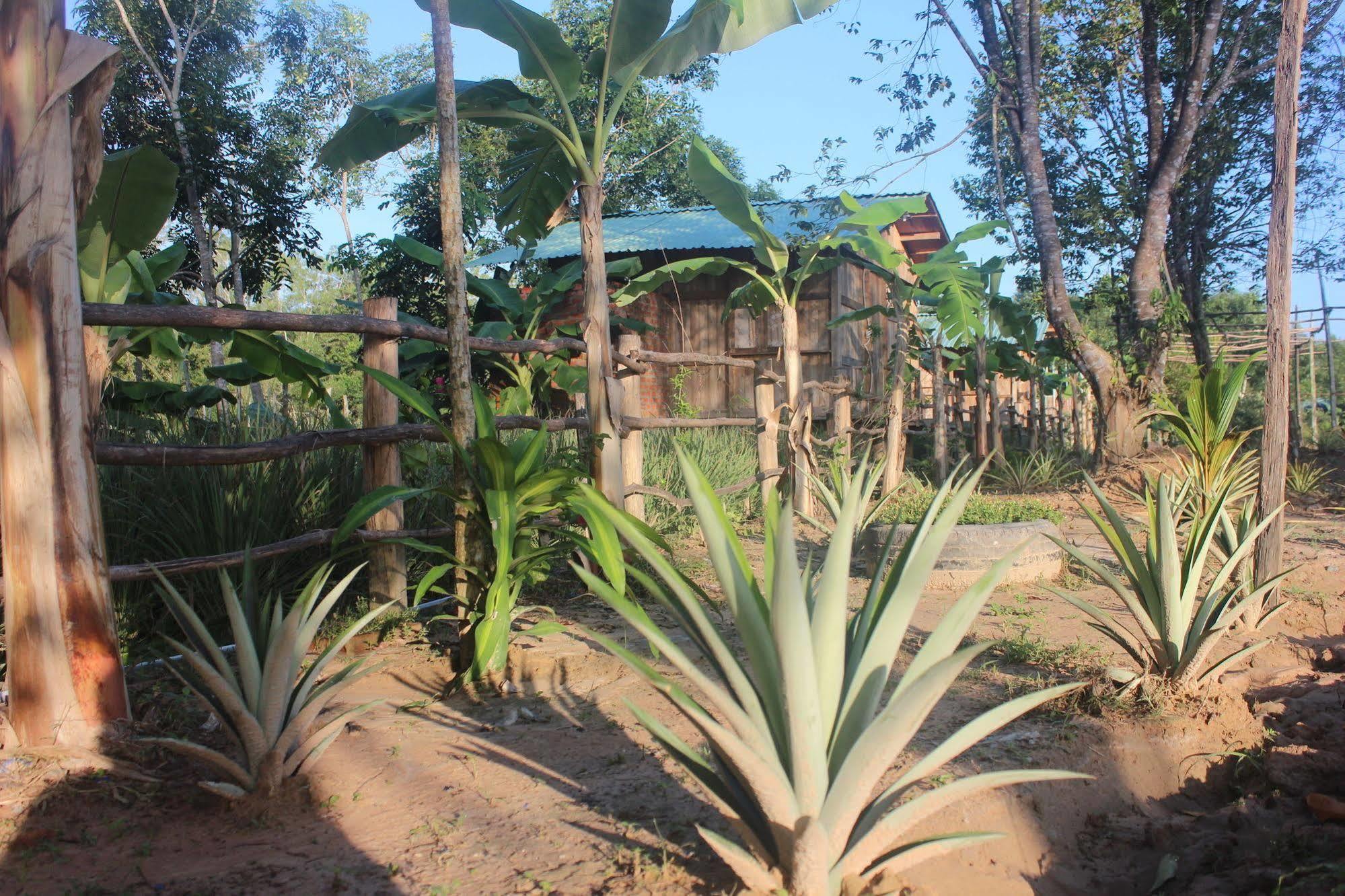 Pepper Farm Phu Quoc Hotell Exteriör bild