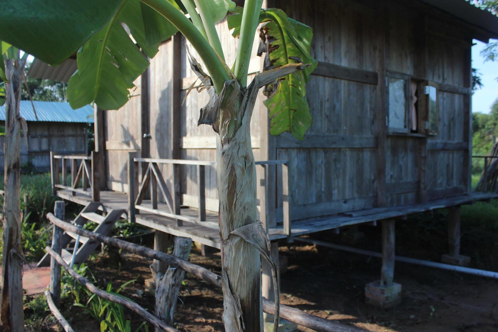 Pepper Farm Phu Quoc Hotell Exteriör bild