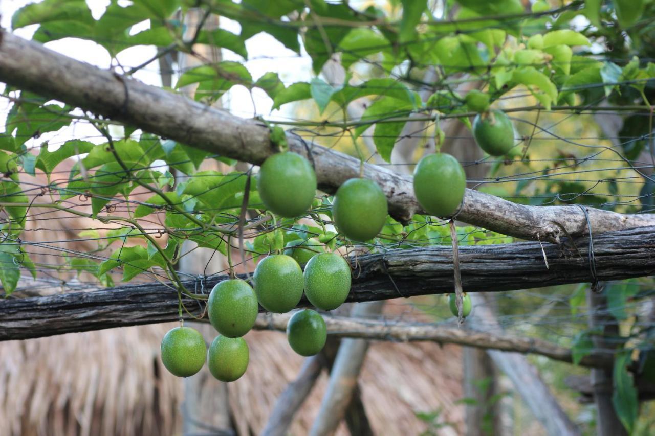Pepper Farm Phu Quoc Hotell Exteriör bild